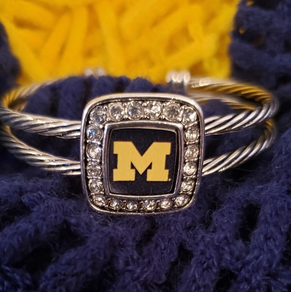 💙💛 University Of Michigan Wolverines Fan Bundle - Picture 6 of 10